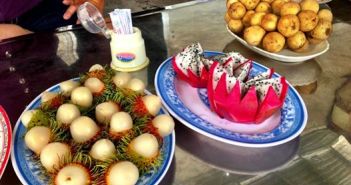 Eating through Vietnam Vietnam-Tropical-Fruits