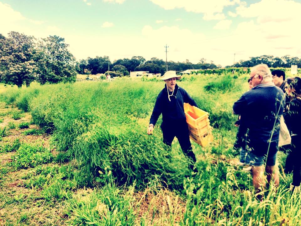 Edgecombe-Brothers-Asparagus-Master-Class-Perth