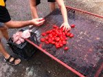 Squeezing the juice out of the tomatoes