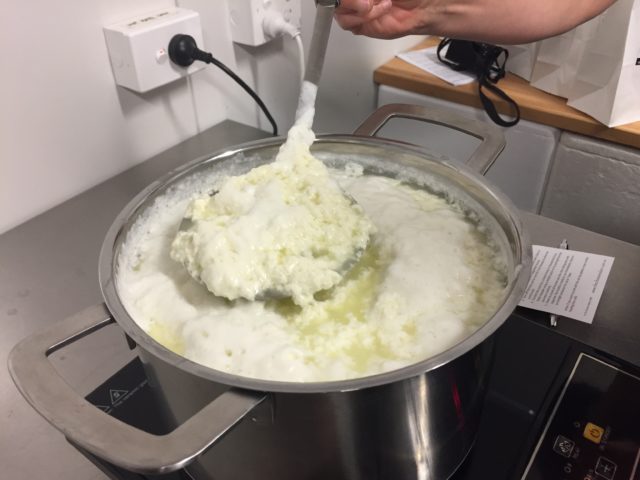explorer-group-ricotta-in-pot