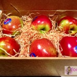 Jazz-Apple-7